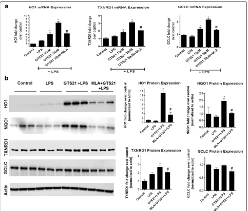 Fig. 5 α(1significant upregulation of canonical Nrf2 antioxidant genes HO1, TXNRD1, and GCLC, in astrocytes treated with LPS for 24 h.Tukey7 nAchR activation induced upregulation of canonical Nrf2 antioxidant genes