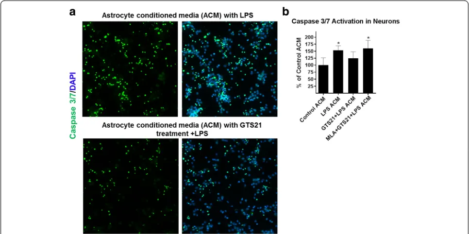 Fig. 7 αbsignificantly lowered levels of caspase 3/7 in neuronal cultures, and this effect was significantly blocked upon addition of 1with control astrocyte conditioned media