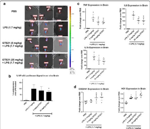 Fig. 8 α7 nAchR activation reduced NF-κB luciferase signal and downregulated pro-inflammatory genes downstream of NF-κB signaling pathwayin brain
