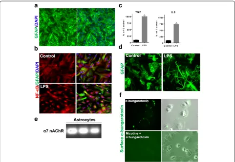 Fig. 1 Characterization of an in vitro model of neuroinflammation and expression of200confirming expression ofastrocytes as a marker of acute inflammation phase.within a well