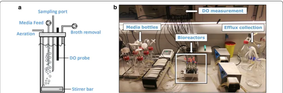 Fig. 1 a Schematic view of a single stirred small-scale bioreactor for parallelized continuous cultivation