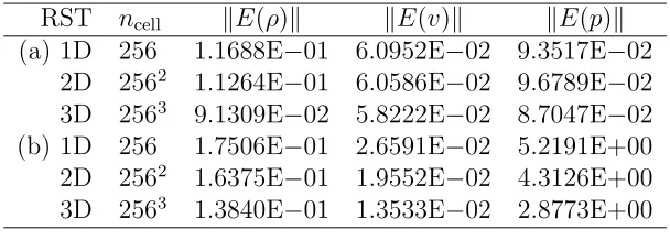 Table 3.1: Norm errors for the relativistic shock tube tests