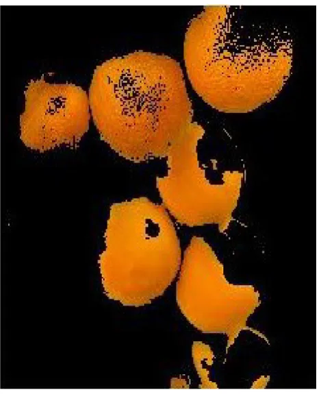 Figure 2. Image Before Segmentation 