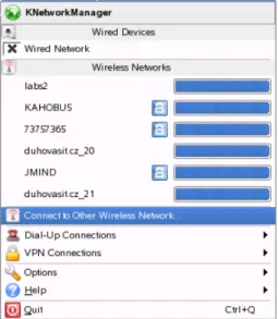 Figure 2.1 Available Networks in the KNetworkManager Applet