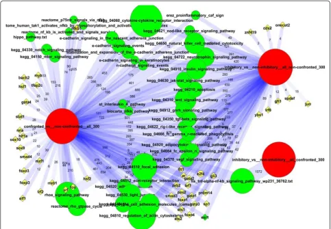 Fig. 2 Network enrichment of experimentally perturbed genes. The summary of gene set (DEG vs