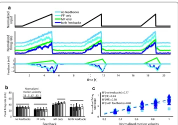 Fig. 9 Isokinetic task modeling. input for three different speeds, (ii) normalized motoneuron firing rate in case of no feedbacks, force feedback only, movement feedback only and both feedbacks, (iii) feedback in the four cases
