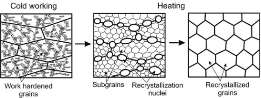 Fig. 2. Schematic representation of the continuous static recrystallization (cSRX) controlled by particle coarsening (after Hornbogen et al