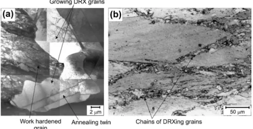Fig. 4. Development of new grains due to continuous dynamic recrystallization (cDRX) observed by OIM