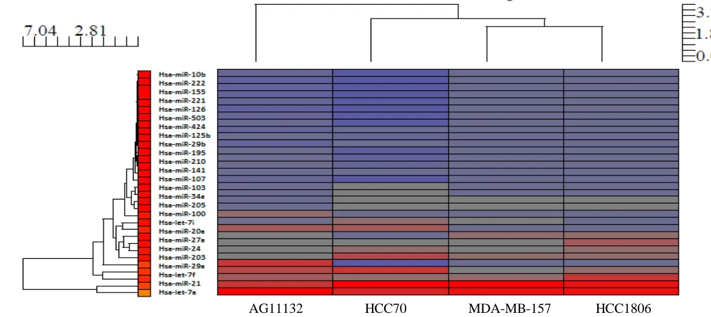 Figure 2 is a hierarchical cluster of the 32 miRNAs listed in Tables 1, 2, and3 and have been reported to play a role in breast cancer