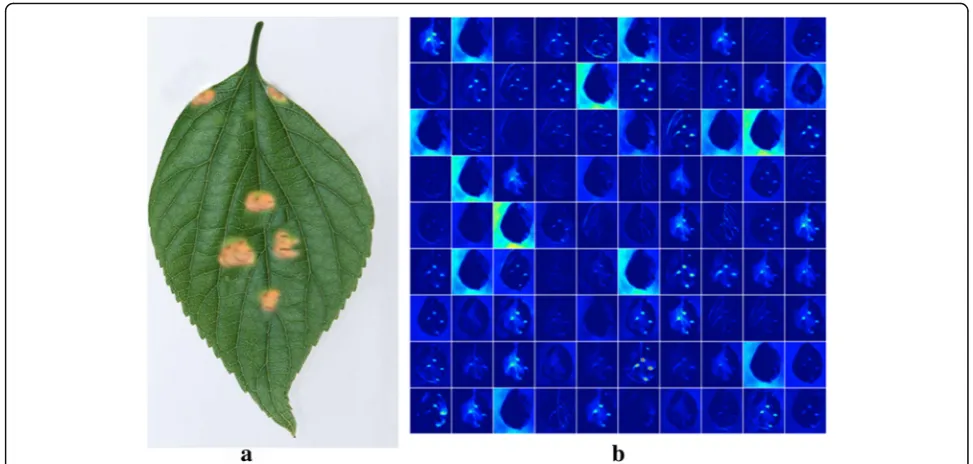 Fig. 5 Activation visualization: (GoogLeNet Inception is used to extract the pathological features from the original image, which improves the automatic feature extraction ina) original image; and (b) the learned weights by the first layer