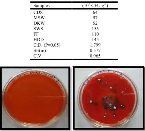 Table 4.1. Isolation of cellulose degrading bacteriaTable 4.1. Isolation of cellulose degrading bacteria 