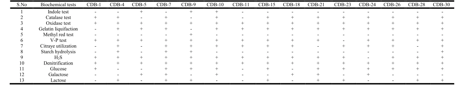 Table 3. B. Biochemical characteristics of cellulose degrading bacterial isolates  