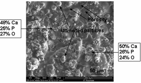Fig. 1 FE-SEM image of plasma sprayed HA coating showing morphology of as-sprayed coating