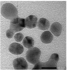 Fig. 6. Particle size distribution of AgNPs synthesized by using 