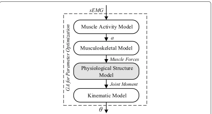 Fig. 1 Overview of the continuous motion estimation model (CMEM)
