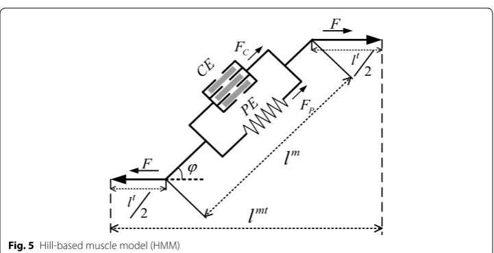 Fig. 5 Hill-based muscle model (HMM)
