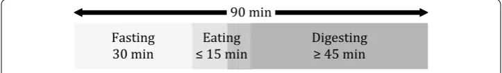 Fig. 2 Protocol of recording sessions