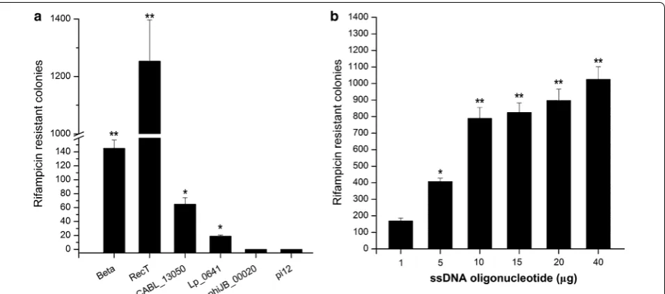 Fig. 1 SsDNA recombineering in L. lactis. a Activity of six recombinases when expressed exogenously in L