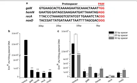 Fig. 3 Application and improvement of CRISPR/Cas9 system in transforming NZ9000 with pTLCas9galk1 (or pTLCas9hemN1, pTLCas9recA1, pTLCas9noxD1), there was a  10compared to transformation with pTLCas9 (control)