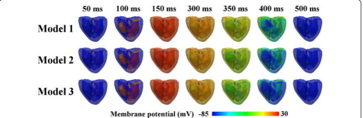 Fig. 2 Membrane potential propagation of sinus pacing in time-series for the three models