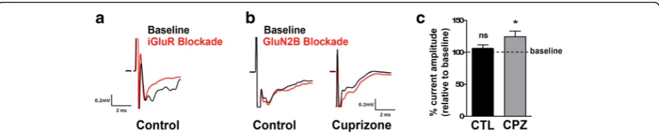 Fig. 7 Cuprizone treatment (5 weeks) leads to a decrease in retinogeniculate network activity.selective blocker of NMDA receptors containing the GluN2B subunit