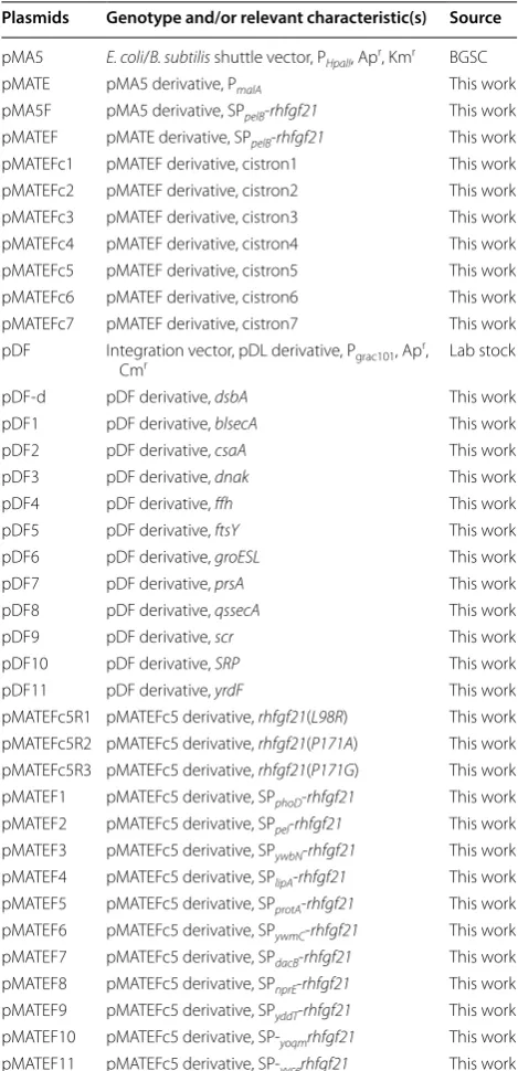 Table 2 Plasmids used in this study