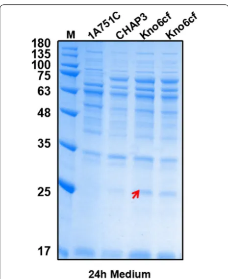 Table 3 Comparison of all screened signal sequences used in this study