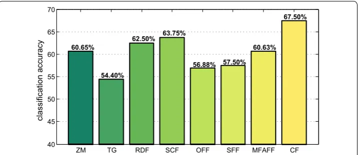 Fig. 8 Comparison of cell dynamic features. For contour deformation, SCF is better than ZM, TG and RDF