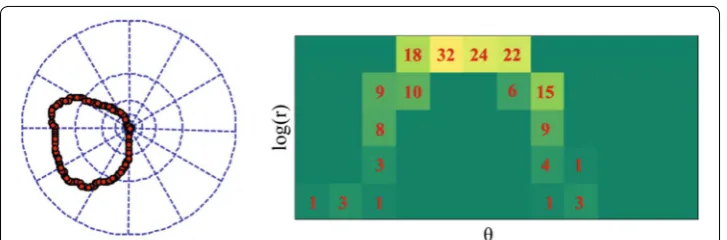 Fig. 3 Log-polar histogram computation for a point bins for pi . The log-polar histogram has 5 bins for log r and 12 θ as proposed by [14]