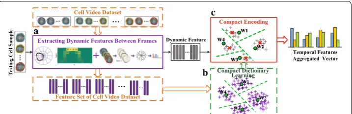 Fig. 5 The illustration of temporal aggregation for dynamic features. Module A is responsible for extracting the frame-level dynamic feature for the training dataset or testing sample