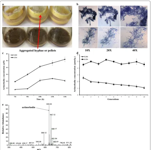 Fig. 9 Morphological differentiation, actinorhodin production and genetic stability analyses