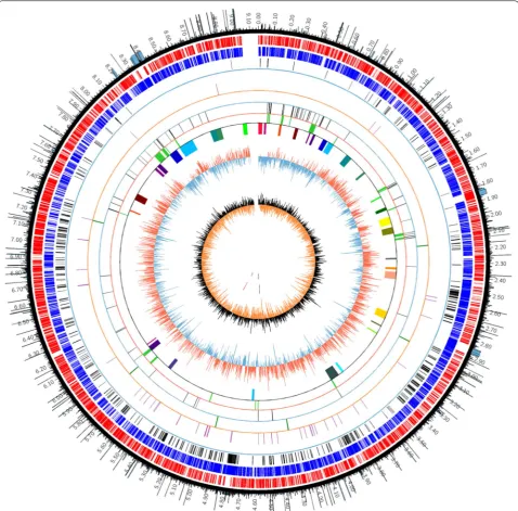 Fig. 1 Circular map of S. chattanoogensis L10 genome. Circles 1 and 2 display the CDSs on the forward strand (red) and reverse strand (blue), respectively