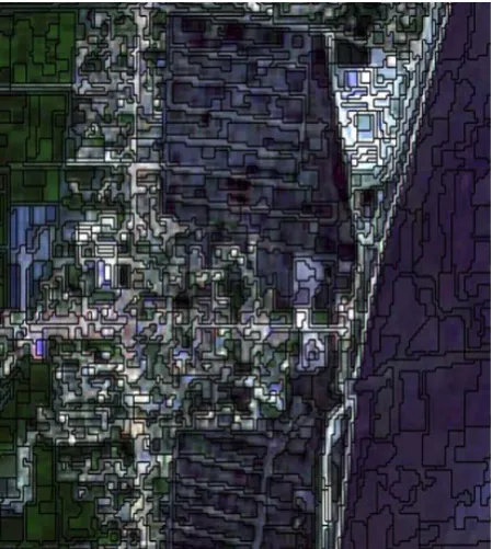 Figure 3. Segmentation ESP2. Parameter of segmentation: scale 20; shape 0.05; compact-ness 0.1; ponderation of the bands of visible: 1; ponderation of the bands NDVI: 2