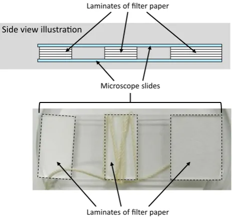 Fig. 1 Illustration and photograph of ﬁve-layer laminates of nutrient-containing ﬁlter paper, ﬁxed between two microscope slides, used asoviposition sites of Dinoderus minutus
