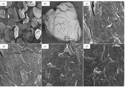 Fig. 4. Particle size of (a)chitosan extracted from shrimp shell waste and (b) LWCS extracted from shrimp shell waste 