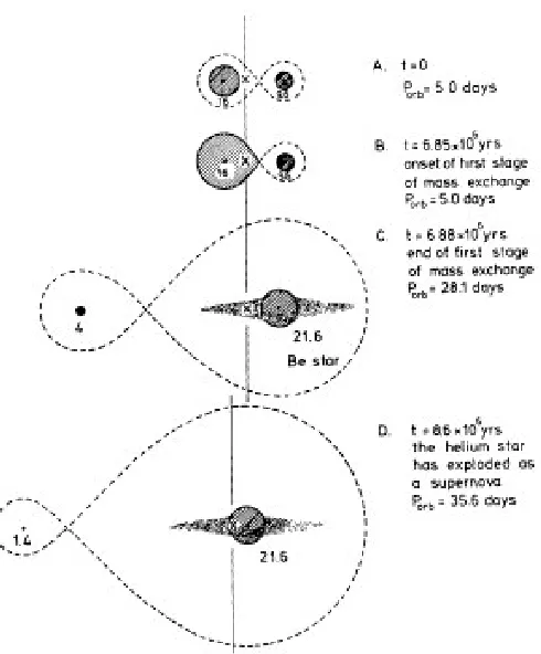 Figure 1.2: The evolution of a close binary system into a Be X-ray binary system. Image fromRappaport & van den Heuvel (1982).