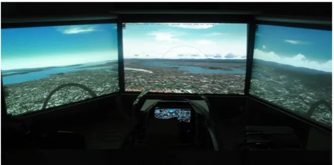 Figure 1. Large screen flight simulator. 