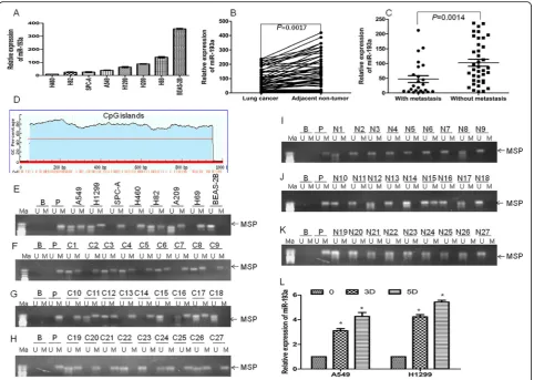 Fig. 1 miR-193a was downregulated in lung cancer cells due to DNA hypermethylation. a The expression of miR-193a was detected in severallung cancer cell lines and normal lung epithelial cell line BEAS-2B by qRT-PCR
