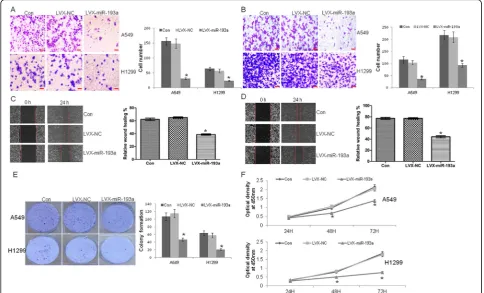 Fig. 2 The anti-metastasis activity of miR-193a in lung cancer cells.in A549 (and H1299 cells transfected with lentivirus LVX-miR-193a or negative control LVX-NC