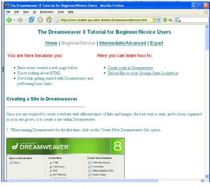 Figure 2.1. The first screen of the D8T’s novice interface.     