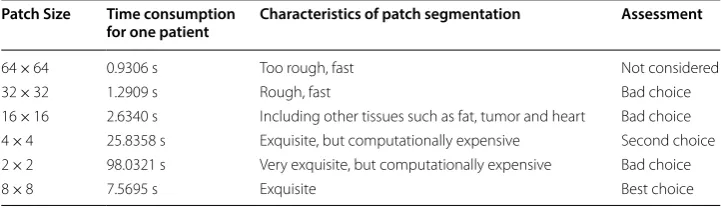Table 2 The assessment of patch size through the segmentation characteristics and time consumption
