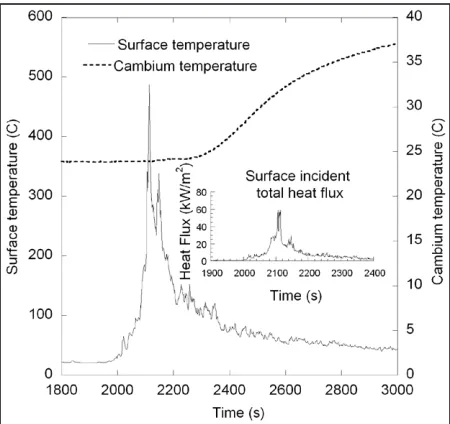 Figure 2.  Surface heat flux and resulting measured surface and cambium temperatures for a 28 cm diameter (dbh) lodge pole pine subjected to a pre-scribed crown fire