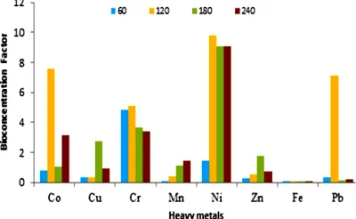 Fig. 11. Comparative EC of Co, Cu, Cr, Mn, Ni, Zn, Fe and Pb in P. fruticose at different harvesting days