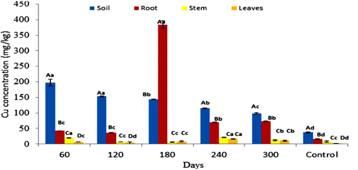 Fig. 3. Accumulation of Cu concentration in soil and P. fruticose root, stem and leaf on all the harvesting days