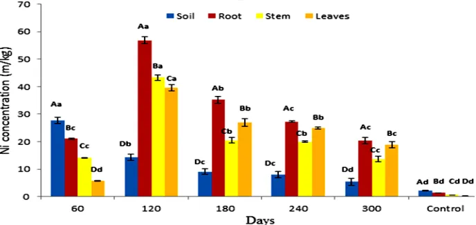 Fig. 5. Accumulation of Mn concentration in soil and P. fruticose root, stem and leaf on all the harvesting days