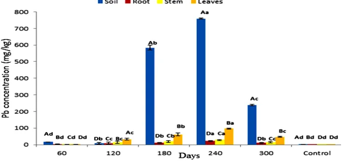 Fig. 7. Accumulation of Pb concentration in soil and P. fruticose root, stem and leaf on all the harvesting days
