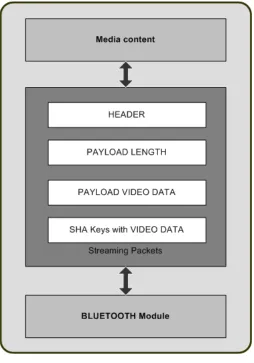 Figure-3 Payload of Video Streaming   