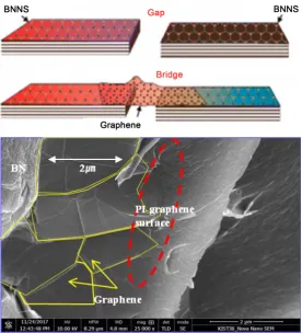 Figure 5. Diagram of filler structure and SEM morphology in polyimide composite. 
