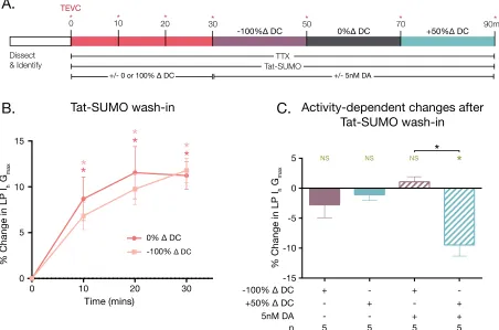 Figure 4.4 Enhancing SUMO availability converts DA-enabled, LP Iincreases LP Ievery 10min for 30min
