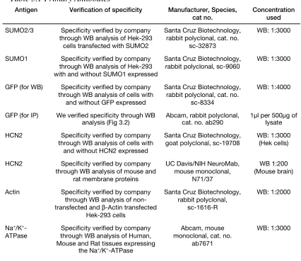 Table 3.1 Primary Antibodies 